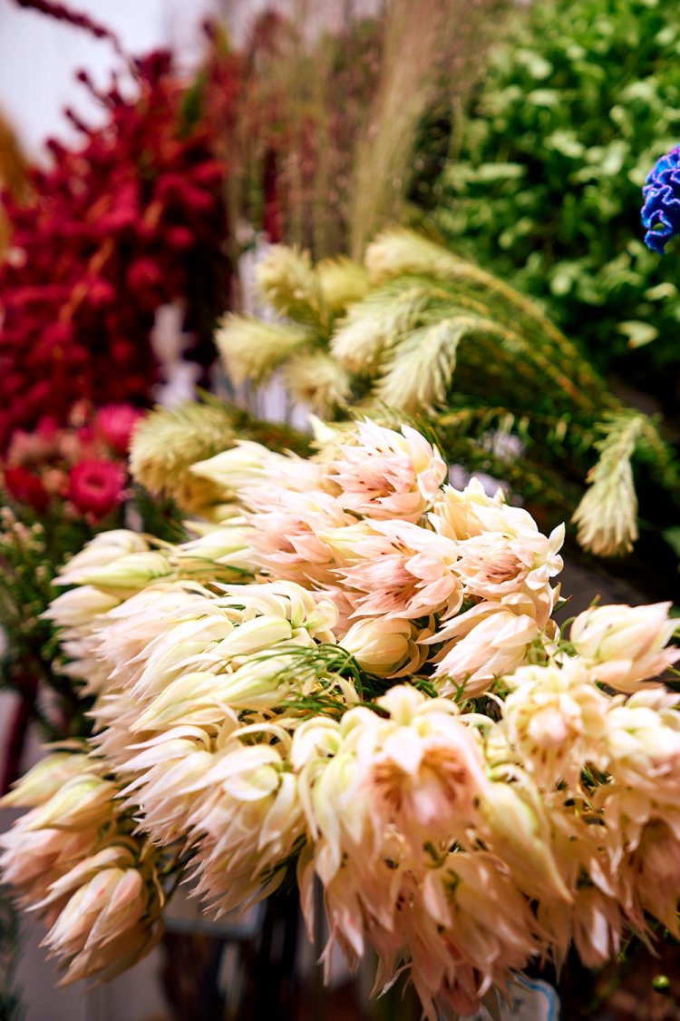 【散歩の達人】変わる渋谷へ