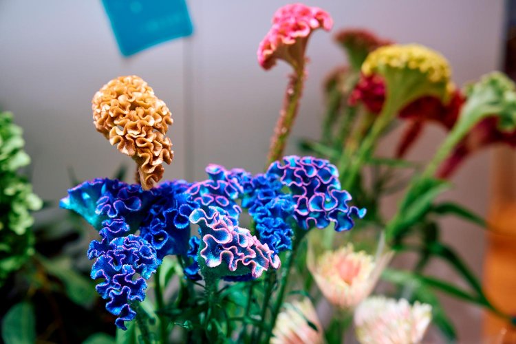 【散歩の達人】変わる渋谷へ