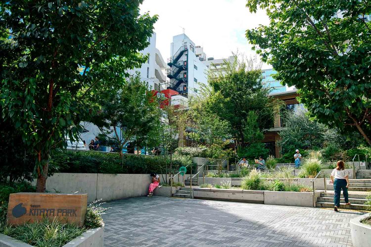 北谷公園。定期開催されるフリーマーケットに『水曜日の花屋』も出店する。