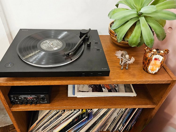 cafe THE SUN LIVES HERE5