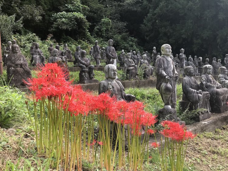 季節によって花々も美しく。