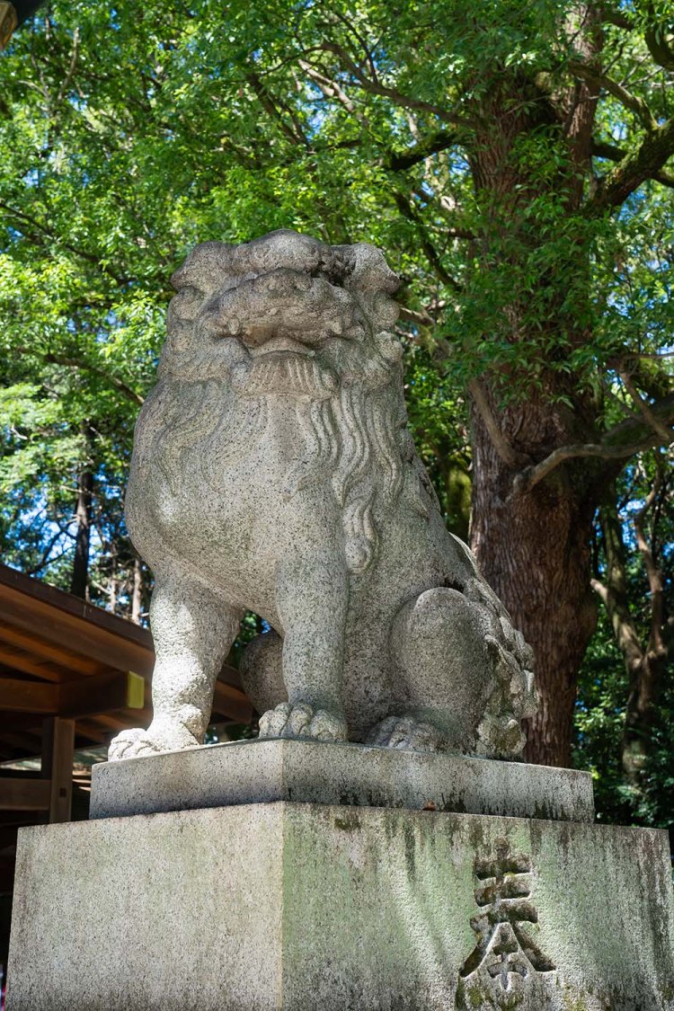 大宮八幡宮DSV00076