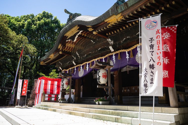 大宮八幡宮DSV00087