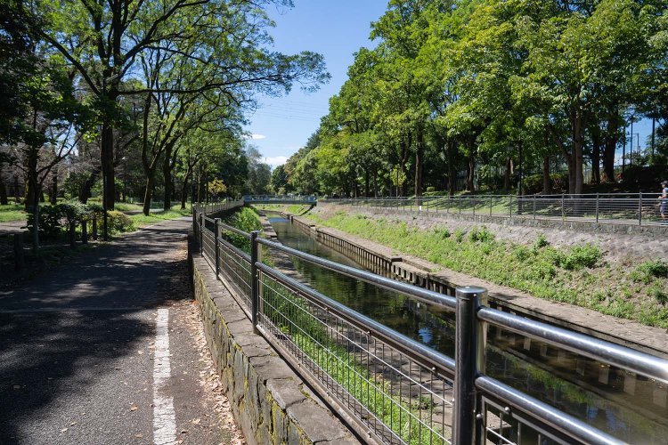 善福寺川緑地DSV00002