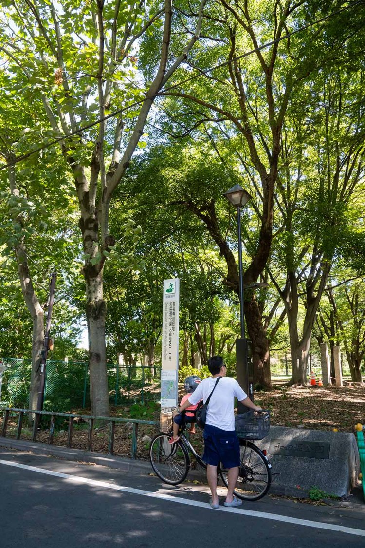 善福寺川緑地DSV00030