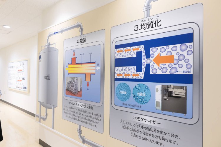 ルートの壁面には、商品ができるまでの一連の流れをパネルで説明。
