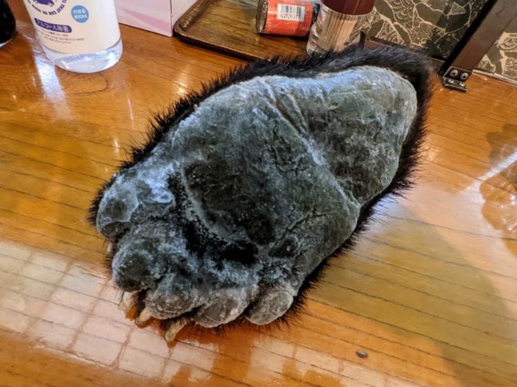 サービス料理③？「ツキノワグマの手」。