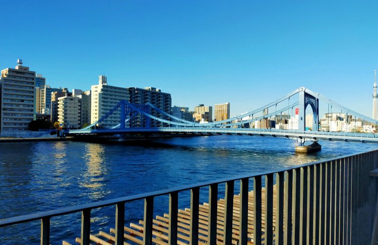 テラス席からの眺め。ひっきりなしに船が往来するので、その数を数えるのも楽しい。