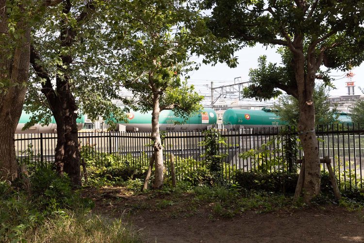 ファンキー公園_3182