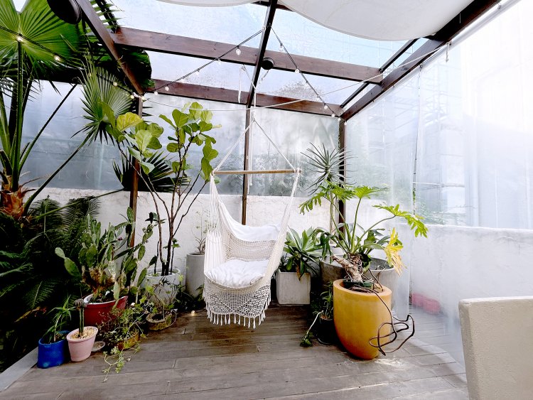 ハンモックは人気の映えスポット。