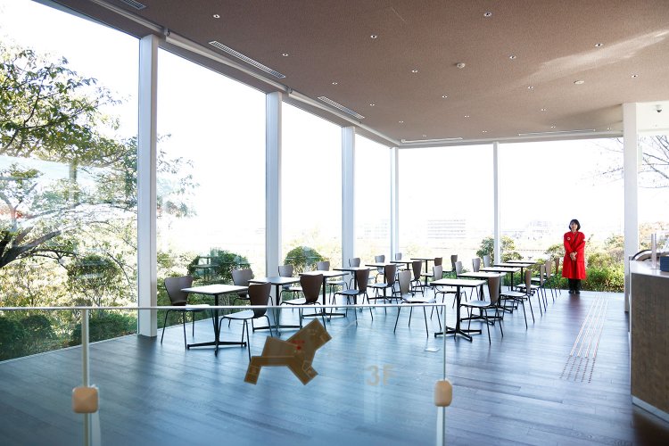 一面ガラス張りで明るい光が差し込む。