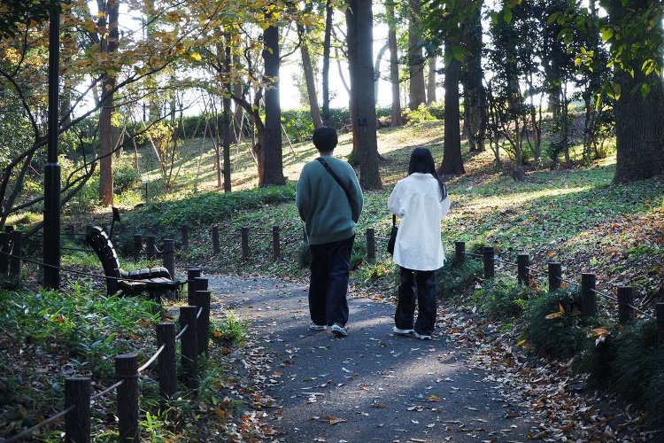 江戸城の面影が残る園内は、池もあって散歩に最適。