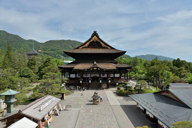 本堂は高さ約27m、開口約24m、奥行54mで、正面からは想像できない縦に長い形状をしている。