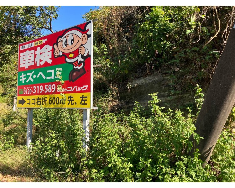 お寺の周辺には、現代の風景と地層がクロスする場所がたくさん見つかる。