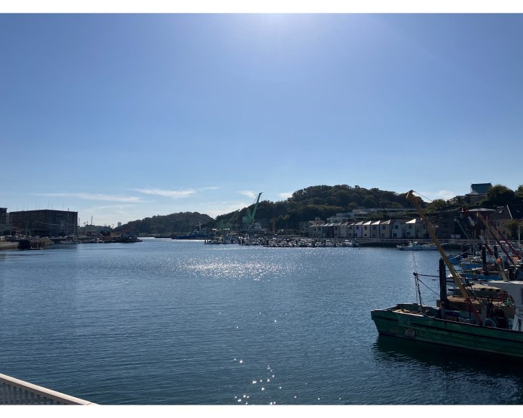 お寺の建つ深浦は漁師の街。お寺からほんの200mほど離れたところに、海が広がっている。