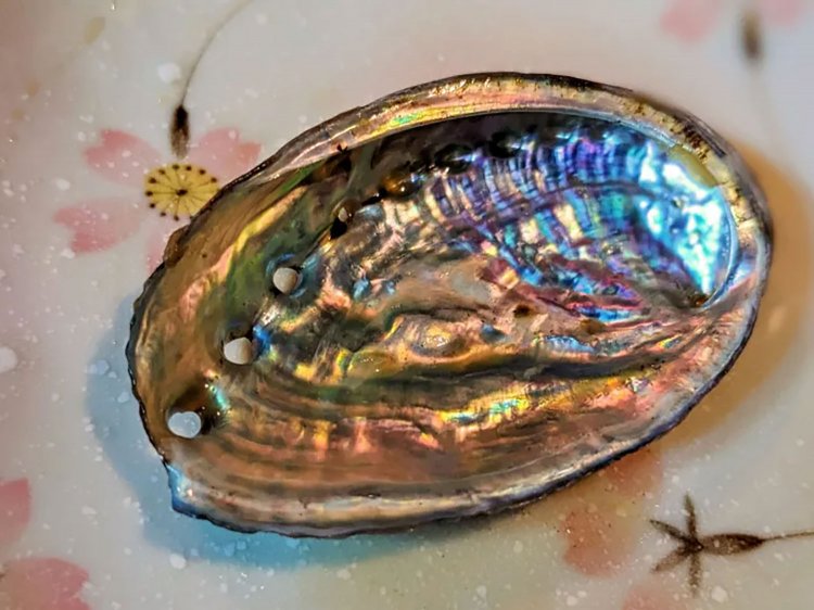 【酒場ナビ】逗子「つ久志」