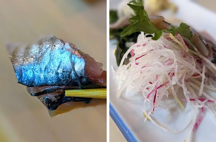 【酒場ナビ】逗子「つ久志」