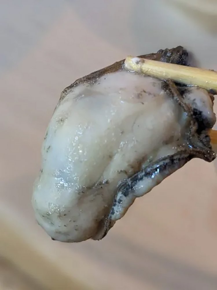 【酒場ナビ】逗子「つ久志」