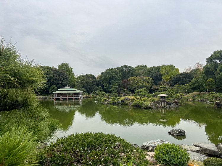 静かで癒やされる空間だ。