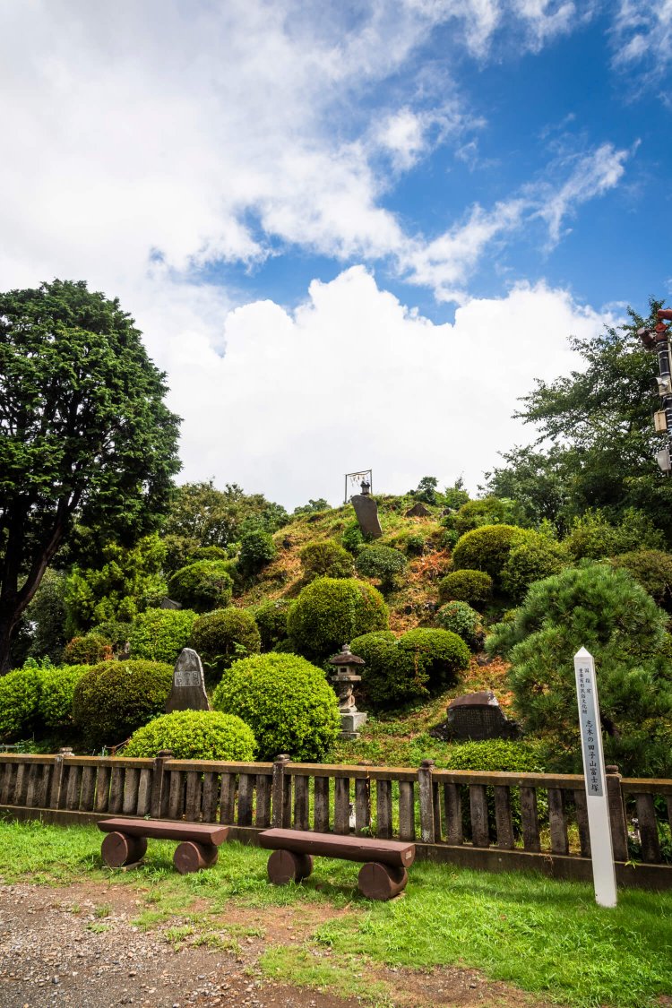 高さ約9mの田子山富士塚。登山道は溶岩の黒ボク石で覆われ、大安、友引に入山可能。10:00～15:00（天候により中止）。