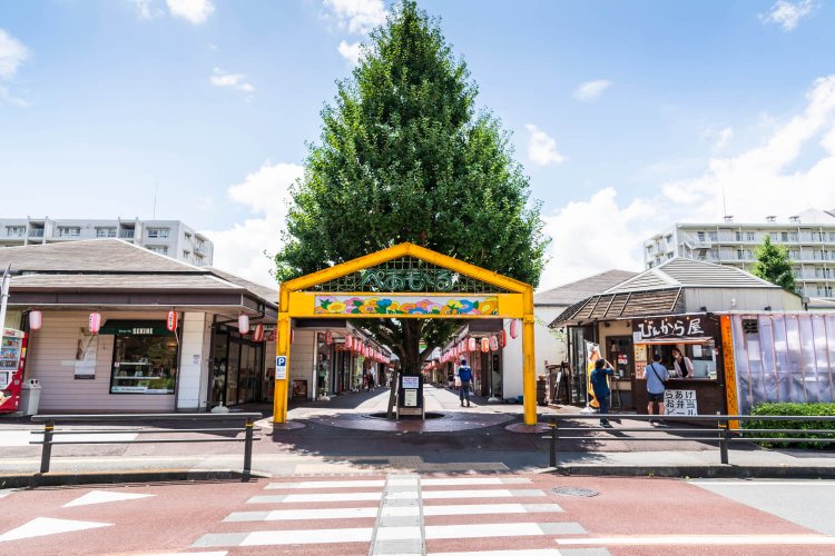 ぺあもーるのカラフルなアーチが来訪者を歓迎。1981年に開業して以来、志木ニュータウンの暮らしを支えてきた。