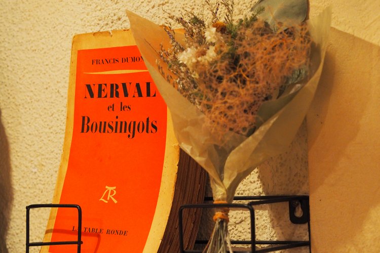 ブーザンゴについての研究書も店内にある。