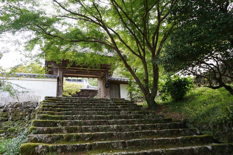 万太郎が学んだ名教館へと続く石段。そのロケ地、青源寺。