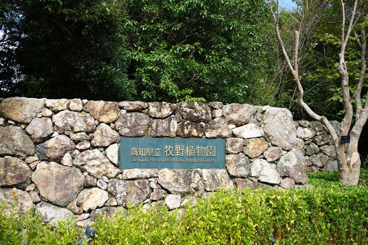 高知県立牧野植物園。高知市の駅前からシャトルバスが出ており、観光客も行きやすい施設。