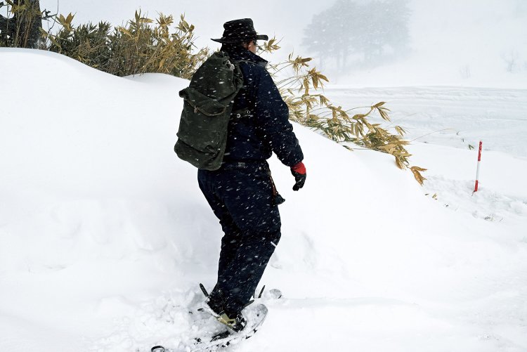 サルノコシカケを採りにいくのは、笹が雪で隠れる冬の間。スノーシューを履いて、裏山へと出かける。