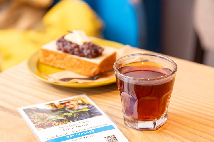 【銀座線沿線を歩く・三越前～銀座編】カフェバーからギャラリー、老舗の大衆割烹まで