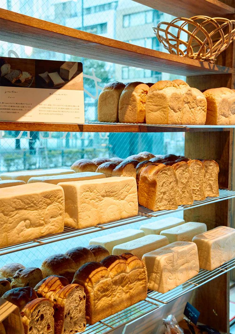 中段奥がjute、手前がkinari。