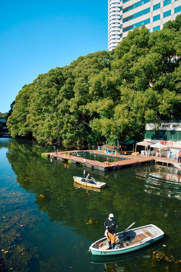 30年通う釣りキチも。観光ボートとしての利用は30分490円～。