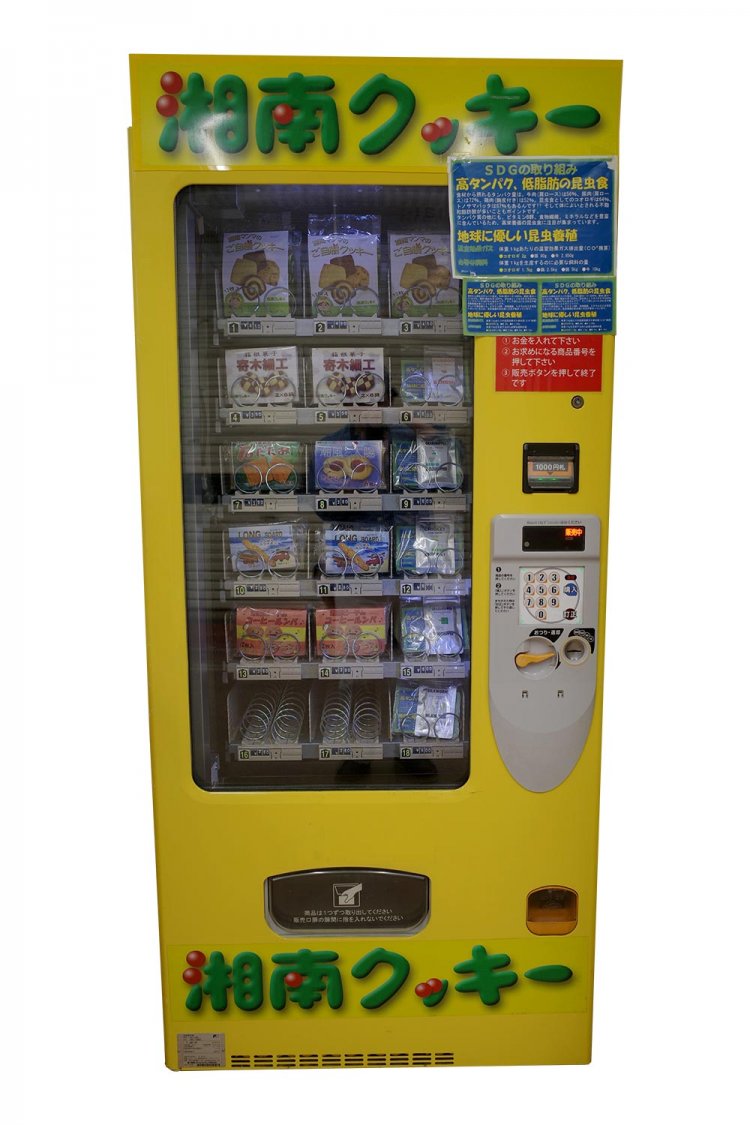 【散歩の達人】クセつよ自販機パラダイス
