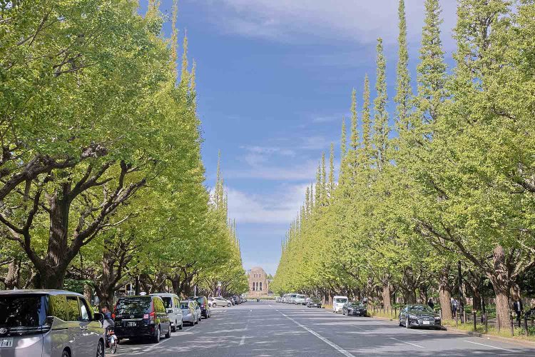 【散歩の達人】青山一丁目～渋谷編