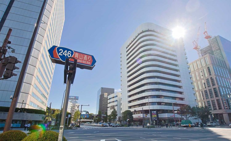 江戸時代には大山参りの道として利用され、大山道と呼ばれた青山通り。