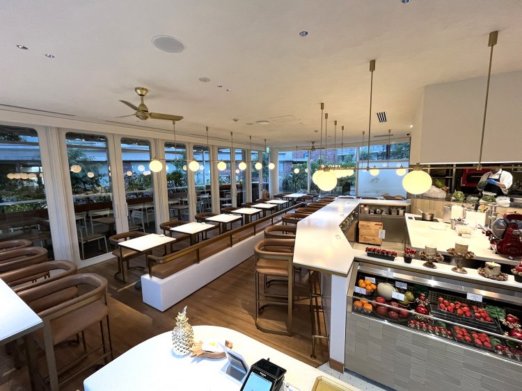 天井が高く、大きな窓から自然の風や光が差し込む。