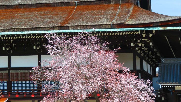 『紫式部日記』に描かれる“失礼な和歌”のやりとりと、紫式部の「藤原道長への思い」【文芸オタクが語る源氏物語】