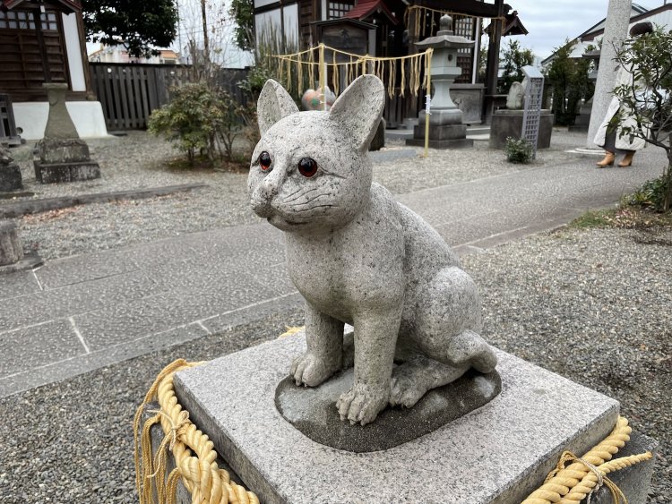 薄毛対策に猫探し？ ニッチなお願いもお任せ、珍しいご利益の神社【東京編】