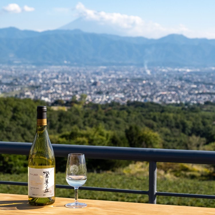 思わず息をのむ富士見テラスからの雄大な眺望。