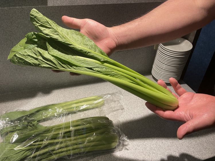 お店で使っている野菜、江戸菜。そのままでも食べれるため、サラダとしても提供している。