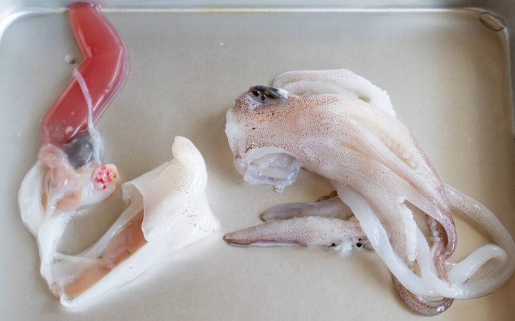 おでんのイカの調理方法