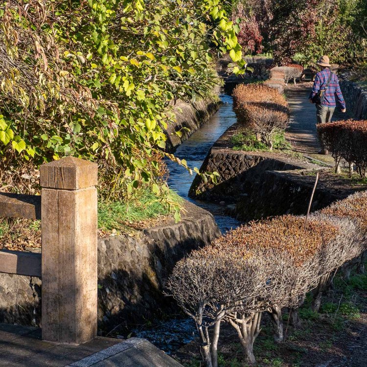 一〜三番口取水口の様子を見られる雄川堰遊歩道。
