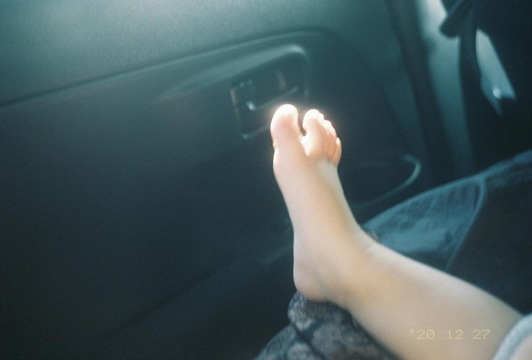 【camell】2024年こそカメラを始めよう！