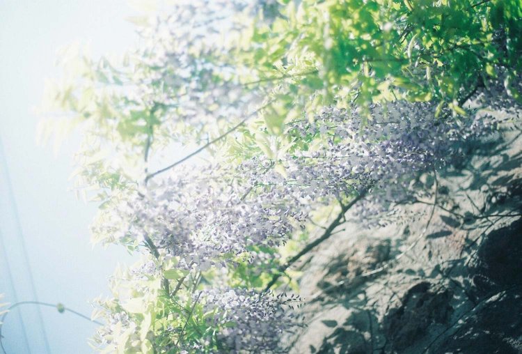 【camell】2024年こそカメラを始めよう！