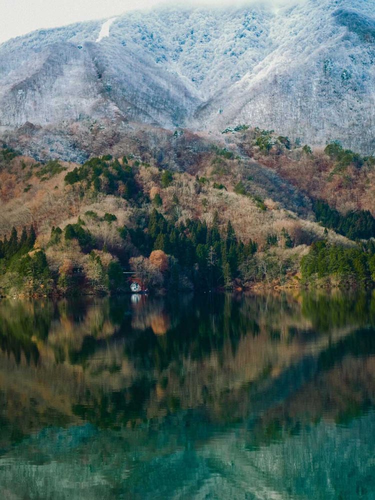 10年後に撮影した写真。