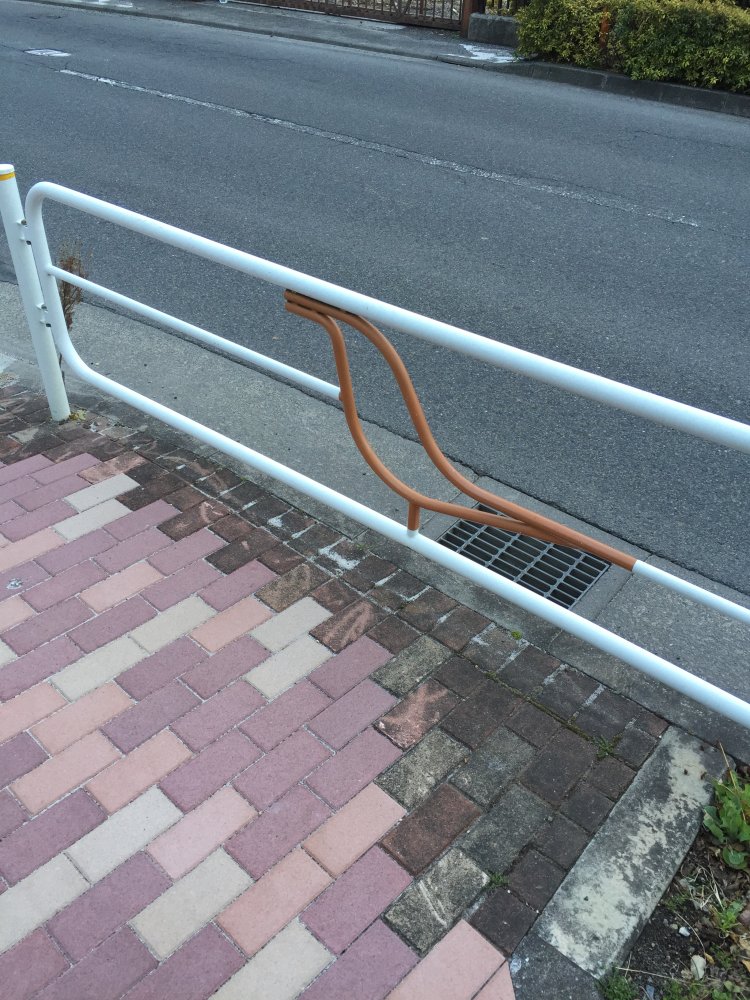 01_府中ヒバリ