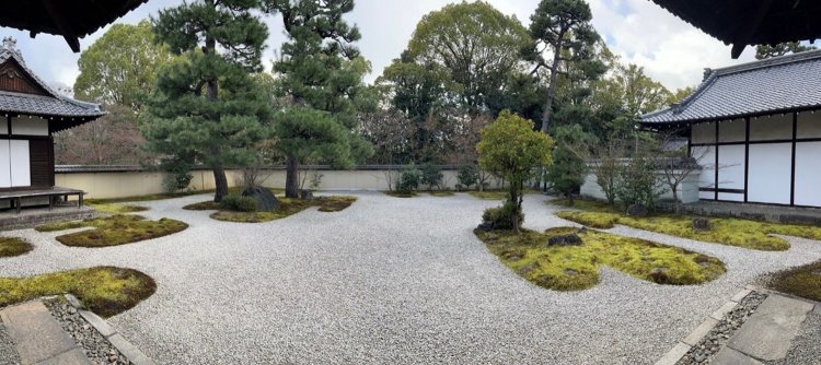 そういえばどことなく丸い、気がする……。