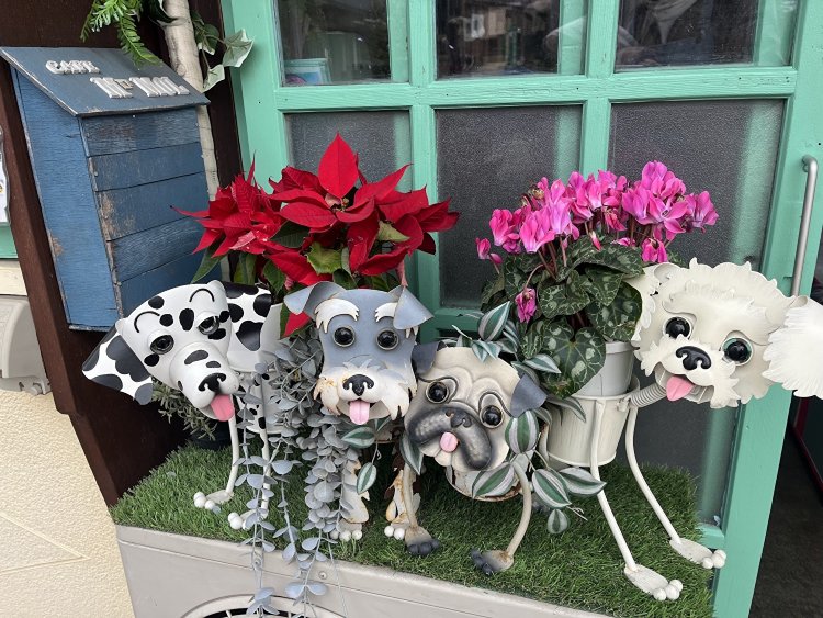 ペットの入店もOK。入り口ではワンちゃんのオブジェクトが出迎えてくれる。