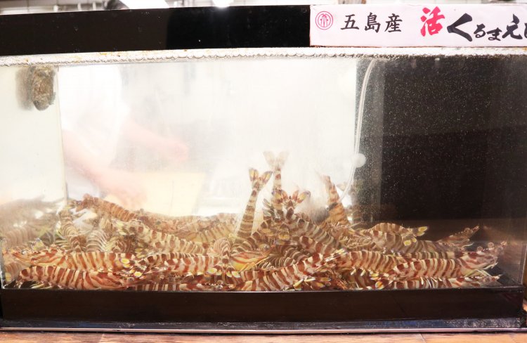 カウンターの生簀にいる車海老。そのままでも揚げても、さぞおいしいのだろう……と妄想が膨らむ。