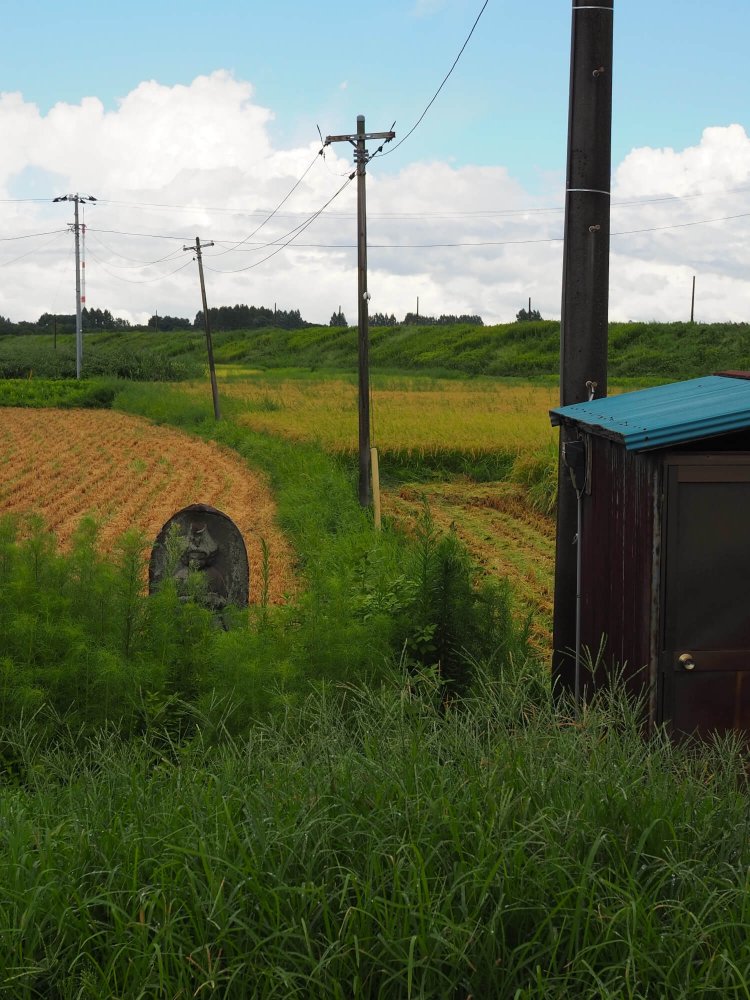 夏草の勢いで見えないが、石仏が8基あり、そのなかの1基。